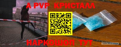 a pvp Камышлов