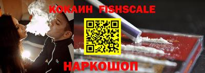a pvp Камышлов
